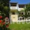 Irene_accommodation_in_Apartment_Ionian Islands_Corfu_Acharavi