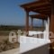 Joanna's Apartments_best prices_in_Apartment_Cyclades Islands_Naxos_Naxos Chora