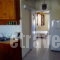 Louiza Apartments_best prices_in_Apartment_Central Greece_Fokida_Galaxidi