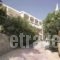 Pighi Sariza_accommodation_in_Hotel_Cyclades Islands_Andros_Apikia