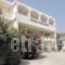 Pighi Sariza_best deals_Hotel_Cyclades Islands_Andros_Apikia