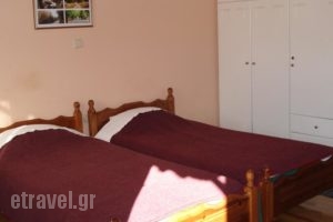 Zephyros_best prices_in_Hotel_Peloponesse_Arcadia_Stemnitsa