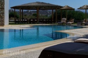 Plaka Hotel Ii_holidays_in_Hotel_Cyclades Islands_Paros_Alyki