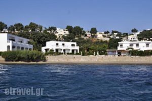 Tony'S Beach_holidays_in_Hotel_Dodekanessos Islands_Leros_Leros Chora