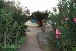 Anthemis Apartments_accommodation_in_Apartment_Crete_Chania_Akrotiri