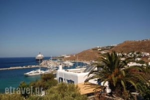 Megas Rooms_accommodation_in_Room_Cyclades Islands_Mykonos_Mykonos Chora