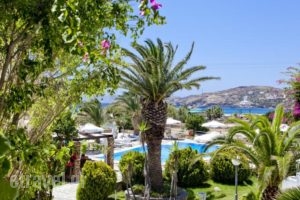 Dionysos Seaside Resort_accommodation_in_Hotel_Cyclades Islands_Ios_Ios Chora