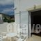 Irene Hotel_accommodation_in_Hotel_Dodekanessos Islands_Leros_Leros Chora