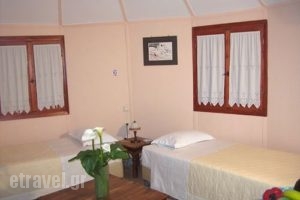 Delphi Rooms & Bungalows_best deals_Apartment_Central Greece_Fokida_Delfi