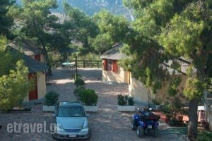 Delphi Rooms & Bungalows_travel_packages_in_Central Greece_Fokida_Delfi