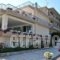 Epihotel Odysseas_accommodation_in_Hotel_Peloponesse_Ilia_Pyrgos