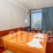 Hippocampus_holidays_in_Hotel_Cyclades Islands_Paros_Paros Chora