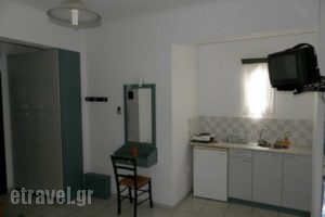 Villa Dora Studios 2_best prices_in_Villa_Cyclades Islands_Andros_Batsi