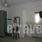 Villa Dora Studios 2_best prices_in_Villa_Cyclades Islands_Andros_Batsi