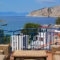 Hippocampus_best prices_in_Hotel_Piraeus Islands - Trizonia_Aigina_Perdika