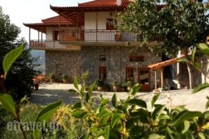 Hotel Semeli_accommodation_in_Hotel_Peloponesse_Korinthia_Feneos