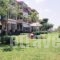 Stella-Meri Studios Apartments_best deals_Apartment_Macedonia_Halkidiki_Nea Skioni