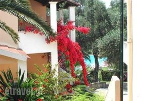 Olga's_best prices_in_Apartment_Ionian Islands_Corfu_Sidari