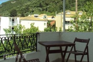 Yasemi Rooms & Studios_best prices_in_Room_Ionian Islands_Lefkada_Vasiliki