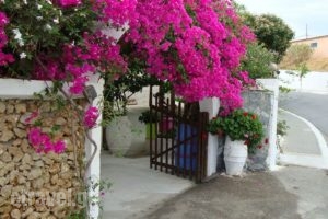 Lefka_best deals_Hotel_Crete_Chania_Platanias