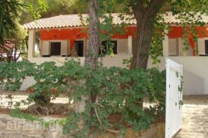 Traganitsa_holidays_in_Room_Peloponesse_Messinia_Petrochori