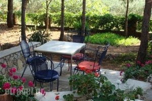 Traganitsa_best prices_in_Room_Peloponesse_Messinia_Petrochori