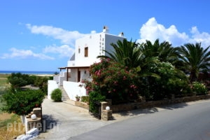 Zanneta Studios_accommodation_in_Apartment_Cyclades Islands_Naxos_Mikri Vigla