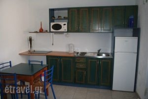 Michalis Studios_best prices_in_Apartment_Dodekanessos Islands_Tilos_Livadia