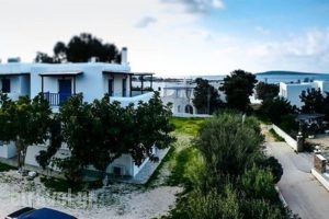 Maistrali_accommodation_in_Apartment_Cyclades Islands_Paros_Alyki