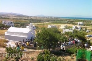 Victoria Studios_best deals_Apartment_Cyclades Islands_Naxos_Mikri Vigla