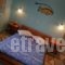 Tzivaeri Alexandros_best deals_Hotel_Cyclades Islands_Naxos_Agios Prokopios