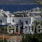 Anna Zisimos - Milos Rooms_best deals_Hotel_Cyclades Islands_Milos_Adamas