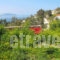 The Castlerock House_best deals_Room_Piraeus Islands - Trizonia_Aigina_Aigina Chora