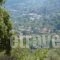 Villa Palatino_best deals_Villa_Ionian Islands_Lefkada_Lefkada Rest Areas