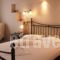 Aneroussa Beach Hotel_best deals_Hotel_Cyclades Islands_Andros_Andros City