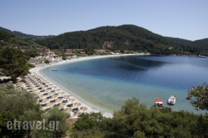 Skopelos Holidays Hotel & Spa_accommodation_in_Hotel_Sporades Islands_Skopelos_Skopelos Chora