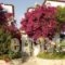 Villa Galini - Sifis Apartments_best deals_Villa_Crete_Chania_Georgioupoli