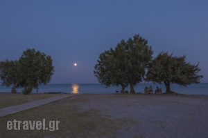 Olympia Mare_best prices_in_Apartment_Dodekanessos Islands_Kos_Kos Rest Areas