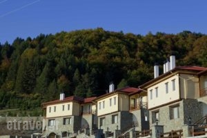 Pindos Palace_best deals_Hotel_Macedonia_Grevena_Lavdas