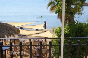 Hercules seafront Studios_holidays_in_Apartment_Ionian Islands_Kefalonia_Assos