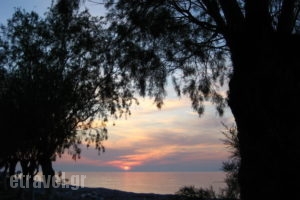 Vivian Studios_best deals_Apartment_Dodekanessos Islands_Rhodes_Ialysos