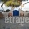 Floras Rooms_holidays_in_Hotel_Cyclades Islands_Milos_Apollonia