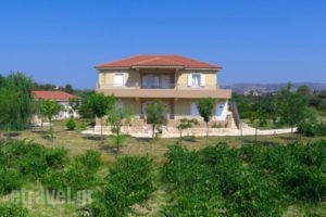 Aggelina's Apartments_accommodation_in_Apartment_Ionian Islands_Kefalonia_Kefalonia'st Areas