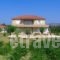 Aggelina's Apartments_accommodation_in_Apartment_Ionian Islands_Kefalonia_Kefalonia'st Areas