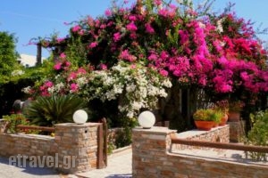 Dimitra Studios_accommodation_in_Hotel_Cyclades Islands_Ios_Ios Chora