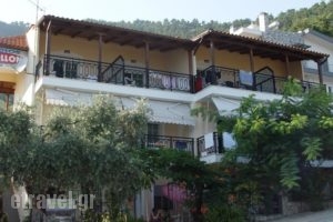 Studios Apollon_accommodation_in_Hotel_Aegean Islands_Thasos_Thasos Chora