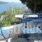 Blue Dolphin_travel_packages_in_Cyclades Islands_Andros_Batsi