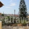 Alvi Studios_travel_packages_in_Piraeus Islands - Trizonia_Aigina_Perdika