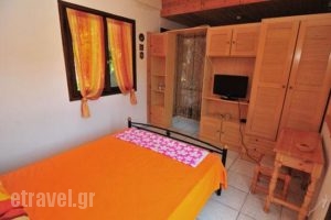 Studios Orfanou_holidays_in_Hotel_Aegean Islands_Thasos_Thasos Chora