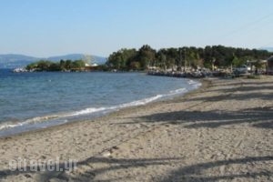 El Greco Eretria_best prices_in_Hotel_Central Greece_Evia_Eretria